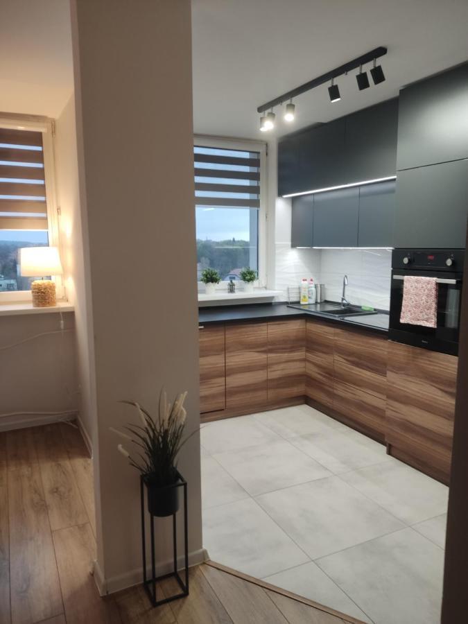 Apartament Z Widokiem Na Miasto Gliwice Dış mekan fotoğraf