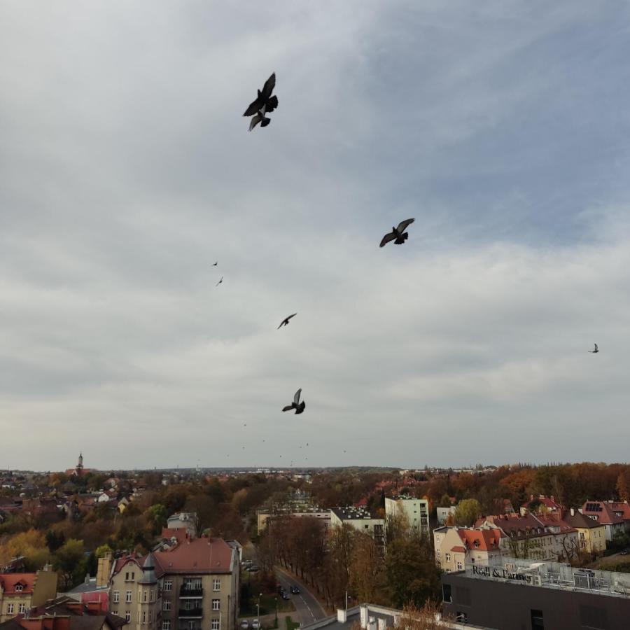 Apartament Z Widokiem Na Miasto Gliwice Dış mekan fotoğraf